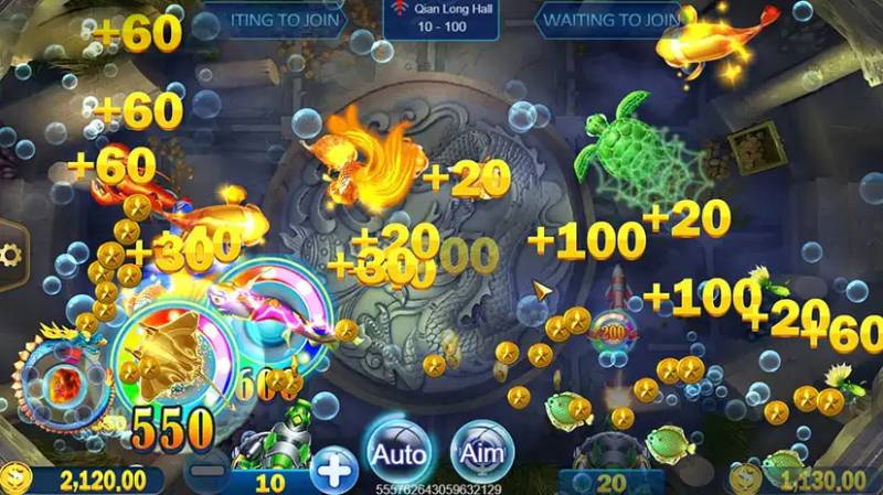 Bắn ngay khi cá vừa mới bơi ra 