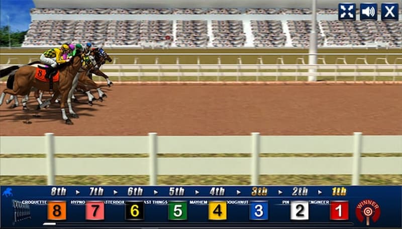 Điều kiện đường đua